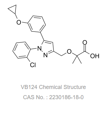 VB124,VB124