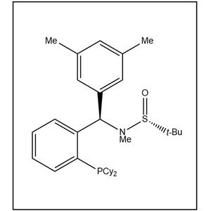 S(R)]-N-[(R)-(3,5-二甲基苯基)[2-(二环己基膦)苯基]甲基]-N-甲基-2-叔丁基亚磺酰胺,S(R)]-N-[(R)-(3,5-Dimethylphenyl)[2-(dicyclohexylphosphino)phenyl]methyl]-N,2-dimethyl-2-propanesulfinamide