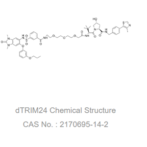 dTRIM24 是一种选择性的双功能 TRIM24 降解剂。