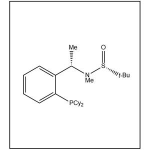 S(R)]-N-[(1S)-1-[2-(二环己基膦)苯基]乙基]-N-甲基-2-叔丁基亚磺酰胺,S(R)]-N-[(1S)-1-[2-(Dicyclohexylphosphino)phenyl]ethyl]-N,2-dimethyl-2-propanesulfinamide