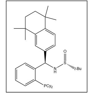 S(R)]-N-[(R)-[2-(二環(huán)己基膦)苯基](5,6,7,8-四氫-5,5,8,8-四甲基-2-萘基)甲基]-2-叔丁基亞磺酰胺,S(R)]-N-[(R)-[2-(Dicyclohexylphosphino)phenyl](5,6,7,8-tetrahydro-5,5,8,8-tetramethyl-2-naphthalenyl)methyl]-2-methyl-2-propanesulfinamide