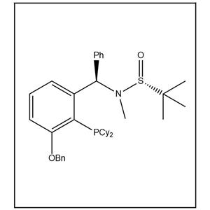 S(R)]-N-[(R)-[(3-苄氧基-2-(二环己基膦)苯基)苯甲基]-N-甲基-2-叔丁基亚磺酰胺 2565792-50-7