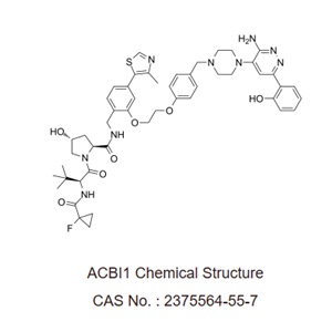 ACBI1 是一种基于PROTAC 技术的 BAF ATPase 亚基SMARCA2和SMARCA4降解剂