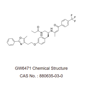 GW 6471 是一种有效的 PPARα 拮抗剂