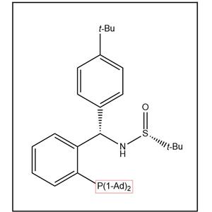 S(R)]-N-[(S)-(4-叔丁基苯基)[2-(二金刚烷基膦)苯基]甲基]-2-叔丁基亚磺酰胺
