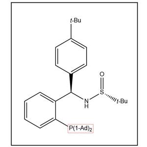 S(R)]-N-[(R)-(4-叔丁基苯基)[2-(二金刚烷基膦)苯基]甲基]-2-叔丁基亚磺酰胺,S(R)]-N-[(R)-(4-(tert-Butyl)phenyl)[2-(Diadamantanphosphino)phenyl]methyl]-2-methyl-2-propanesulfinamide