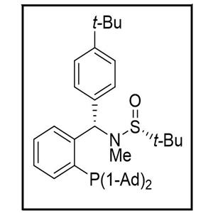 S(R)]-N-[(S)-(4-叔丁基苯基)[2-(二金刚烷基膦)苯基]甲基]-N-甲基-2-叔丁基亚磺酰胺