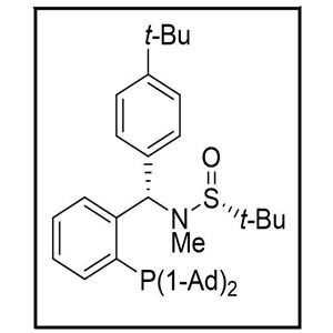 S(R)]-N-[(S)-(4-叔丁基苯基)[2-(二金刚烷基膦)苯基]甲基]-N-甲基-2-叔丁基亚磺酰胺,S(R)]-N-[(S)-(4-(tert-Butyl)phenyl)[2-(Diadamantanphosphino)phenyl]methyl]-N,2-dimethyl-2-propanesulfinamide