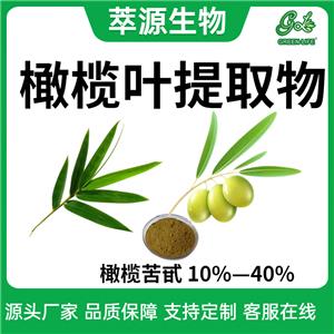 橄榄叶提取物,Olive leaf extract powder