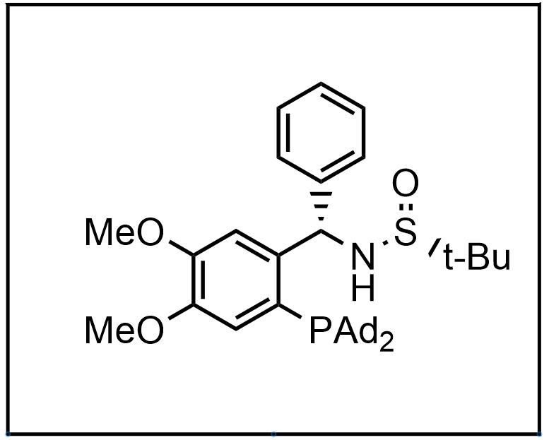 S(R)]-N-[(S)-[2-(二金剛烷基膦)-4,5-二甲氧基苯基](4-苯基)甲基-2-叔丁基亞磺酰胺,S(R)]-N-[(S)-[2-(Diadamantanphosphino)phenyl]methyl]-4,5-dimethoxyphenyl)(phenyl)methyl]2-methylpropane-2-sulfinamide