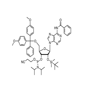 N-苯甲酰基-5'-O-(4,4-二甲氧基三苯甲基)-2'-O-[(叔丁基)二甲基硅基]腺苷-3'-(2-氰基乙基-N,N-二异丙基)亚磷酰胺,N-Benzoyl-5'-O-(4,4-Dimethoxytrityl)-2'-O-[(tert-butyl)dimethylsilyl]adenosine-3'-(2-cyanoethyl-N,N-diisopropyl)phosphoramidite