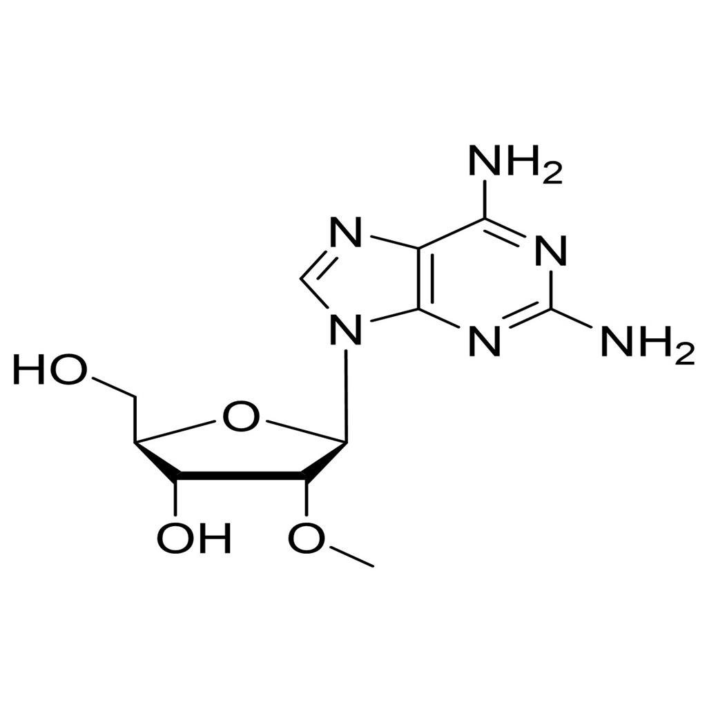 2'-O-Me-2-NH2-rA