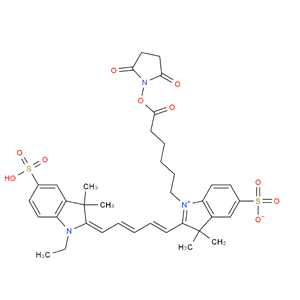 磺酸基-Cy5-N-羟基琥珀酰亚胺酯,CY5 NHS ESTER