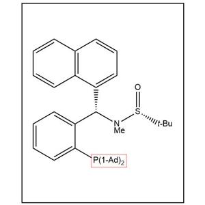 S(R)]-N-[(S)-[2-(二金刚烷基膦)苯基]-1-萘基甲基]-N-甲基-2-叔丁基亚磺酰胺