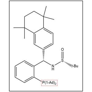 S(R)]-N-[(S)-[2-(二金刚烷基膦)苯基](5,6,7,8-四氢-5,5,8,8-四甲基-2-萘基)甲基]-2-叔丁基亚磺酰胺