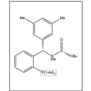 S(R)]-N-[(S)-(3,5-二甲基苯基)[2-(二金剛烷基膦)苯基]甲基]-N-甲基-2-叔丁基亞磺酰胺,S(R)]-N-[(S)-(3,5-Dimethylphenyl)[2-(Diadamantanphosphino)phenyl]methyl]-N,2-dimethyl-2-propanesulfinamide