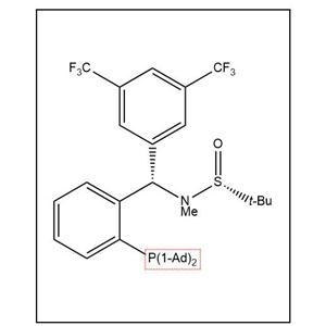 S(R)]-N-[(S)-(3,5-二(三氟甲基)苯基)[2-(二金刚烷基膦)苯基]甲基]-N-甲基-2-叔丁基亚磺酰胺,S(R)]-N-[(S)-3,5-Bis(trifluoromethyl)phenyl)[2-(Diadamantanphosphino)phenyl]methyl]-N,2-dimethyl-2-propanesulfinamide