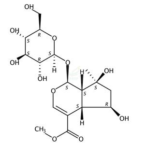 山栀苷甲酯,shanzhiside methylester