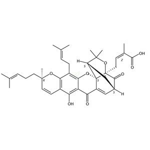 藤黄酸,Gambogic acid