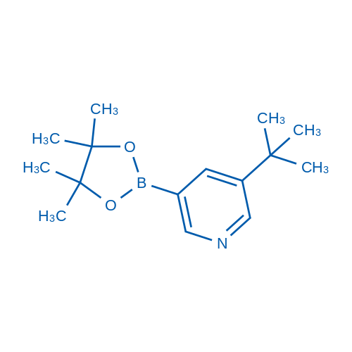 -(叔丁基)-5-(4,4,5,5-四甲基-1,3,2-二氧硼杂环戊烷-2-基)吡啶,3-(tert-Butyl)-5-(4,4,5,5-tetramethyl-1,3,2-dioxaborolan-2-yl)pyridine