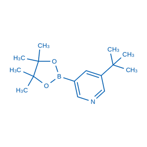 -(叔丁基)-5-(4,4,5,5-四甲基-1,3,2-二氧硼杂环戊烷-2-基)吡啶,3-(tert-Butyl)-5-(4,4,5,5-tetramethyl-1,3,2-dioxaborolan-2-yl)pyridine