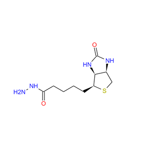 生物素酰肼,BIOTIN HYDRAZIDE