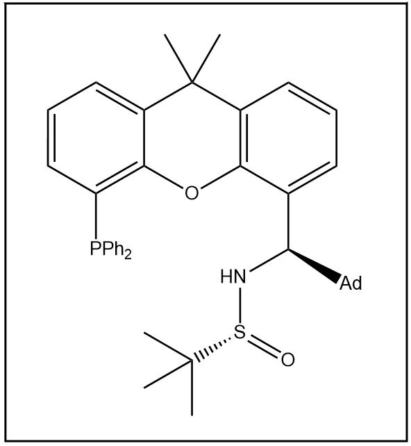 S(R)]-N-[(1R)-(金剛烷基)[5-(二苯基膦)-9,9-二甲基-9H-氧雜蒽)甲基]-2-叔丁基亞磺酰胺,S(R)]-N-((1R)-(Adamantan-1-yl)(5-(diphenylphosphanyl)-9,9-dimethyl-9H-xanthen-4-yl)methyl)-2-methyl-2-propanesulfinamide