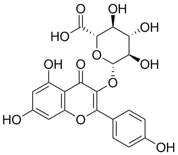 山奈酚葡萄糖醛酸苷,Kaempferol-3-Glucuronide