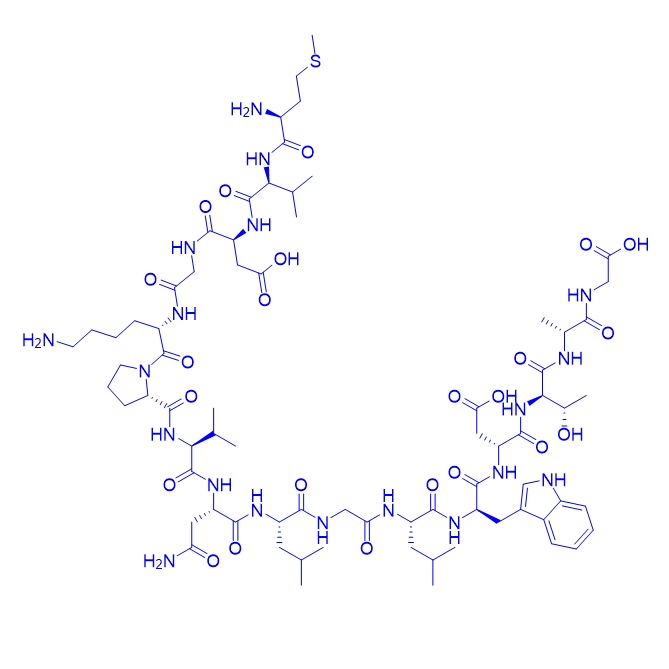 片段多肽Rac1InhibitorW56,Rac1InhibitorW56