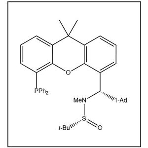 S(R)]-N-[(S)-[2-(1-金刚烷甲基)][5-(二苯基膦)-9,9-二甲基-9H-氧杂蒽]甲基]-N-甲基-2-叔丁基亚磺酰胺,S(R)]-N-[(S)-(2-(1-Adamantylmethyl)][5-(diphenylphosphino)-9,9-dimethyl-9H-xanthen-4-yl]methyl]-N,2-dimethyl-2-propanesulfinamide
