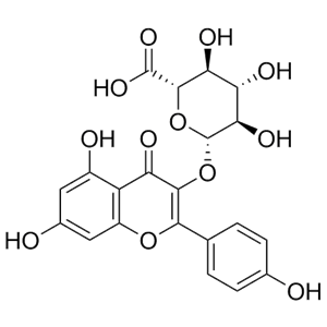 山奈酚葡萄糖醛酸苷,Kaempferol-3-Glucuronide