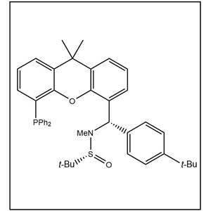 S(R)]-N-[(S)-(4-叔丁基苯基)[5-(二苯基膦)-9,9-二甲基-9H-氧杂蒽]甲基]-N-甲基-2-叔丁基亚磺酰胺