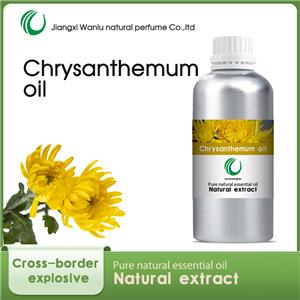 野菊花油,Chrysanthemum oil