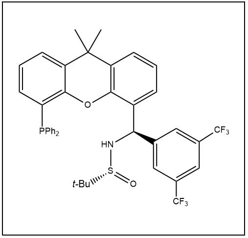 S(R)]-N-[(R)-[3,5-二(三氟甲基)苯基][5-(二苯基膦)-9,9-二甲基-9H-氧杂蒽]甲基]-2-叔丁基亚磺酰胺,S(R)]-N-[(R)-[3,5-Bis(trifluoromethyl)phenyl][5-(diphenylphosphino)-9,9-dimethyl-9H-xanthen-4-yl]methyl]-2-methyl-2-propanesulfinamide