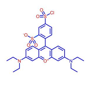 磺基罗丹明B磺酰氯62796-29-6