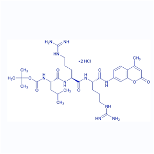 底物多肽Boc-LRR-AMC/109358-46-5/Boc-Leu-Arg-Arg-AMC