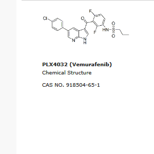 PLX4032 (Vemurafenib),PLX4032 (Vemurafenib)