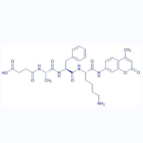 高度敏感熒光底物Suc-AFK-AMC,Suc-Ala-Phe-Lys-AMC