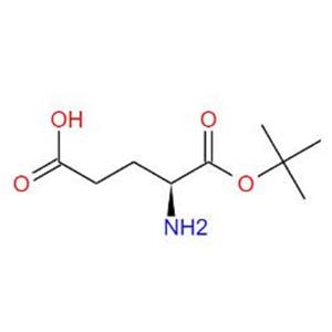 1-叔丁基 L-谷氨酸