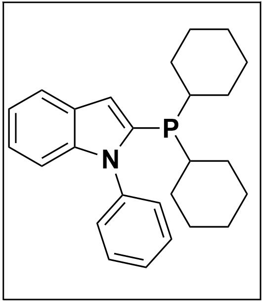 2-(二環(huán)己基膦基)-1-苯基吲哚,2-(Dicyclohexylphosphino)-1-phenylindole