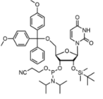 rU亞磷酰胺單體,DMT-2'-O-TBDMS-U-CE-Phosphoramidite