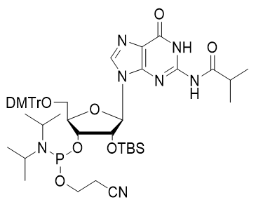 iBu-rG 亚磷酰胺单体,DMT-2'-O-TBDMS-G(iBu)-CE-Phosphoramidite