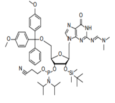 N2-二甲基甲脒-5'-O-DMT-2'-O-TBDMS-鸟苷-3'-氰乙氧基亚磷酰胺,DMT-2'-O-TBDMS-G(dmf)- CE Phosphoramidite