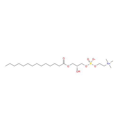 1-十四酰-2-羟基卵磷脂,1-MYRISTOYL-SN-GLYCERO-3-PHOSPHOCHOLINE