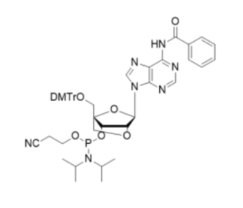 DMT-locA(bz)亚磷酰胺,2’-O-4’-C-Locked-A(Bz) phosphoramidite