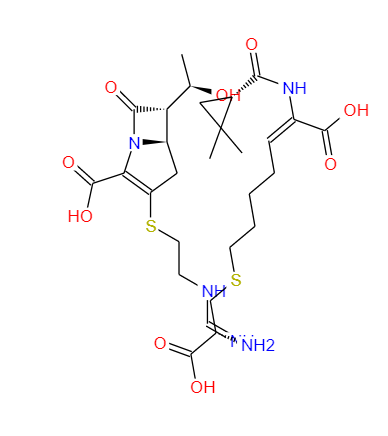 亚胺培南-西司他丁钠,Imipenem-Cilastatin sodium hydrate