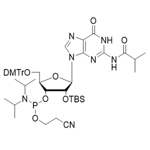 iBu-rG 亚磷酰胺单体,DMT-2