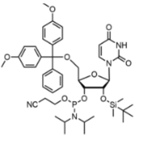 5'-O-DMT-2'-O-TBDMS-尿苷-3'-氰乙氧基亚磷酰胺
