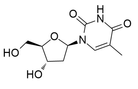 β-胸腺嘧啶核苷,Thymidine