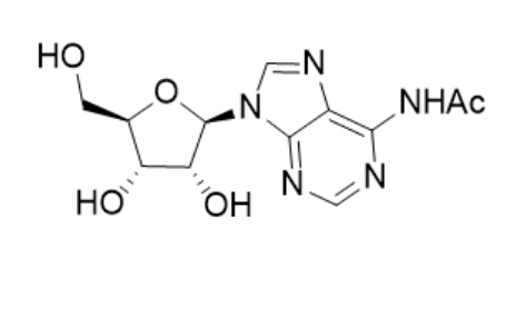 N6-Ac-A,N6-Ac-adenosine